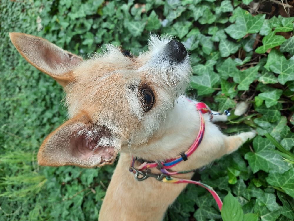 Photograph by Лала Екимчева