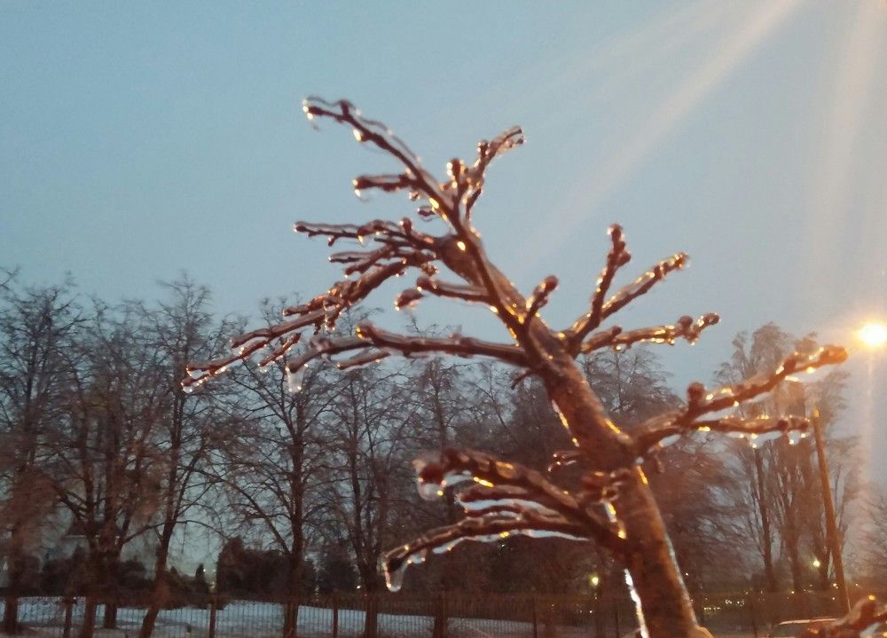 Photo #5801924