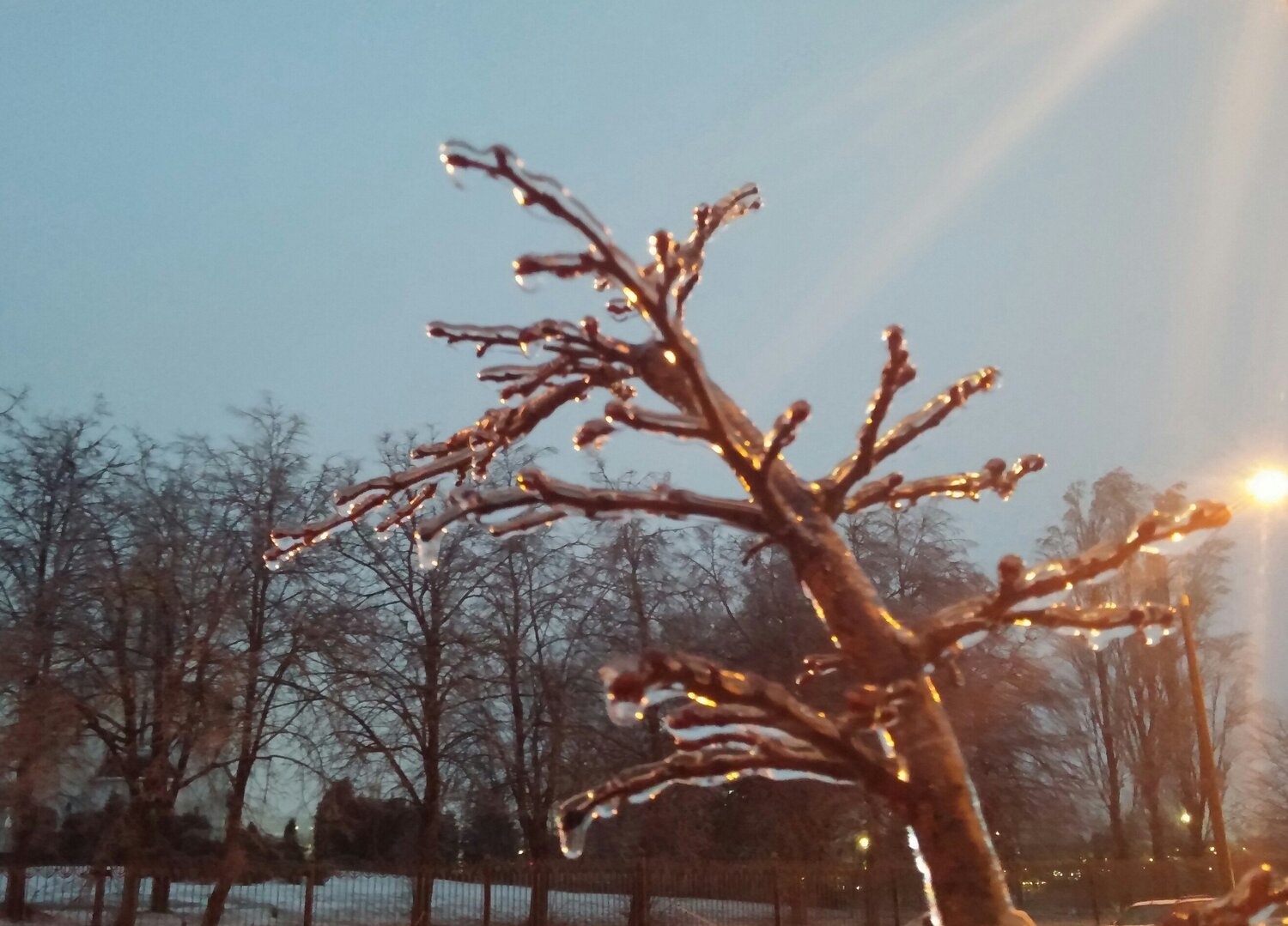 Photo #5801924