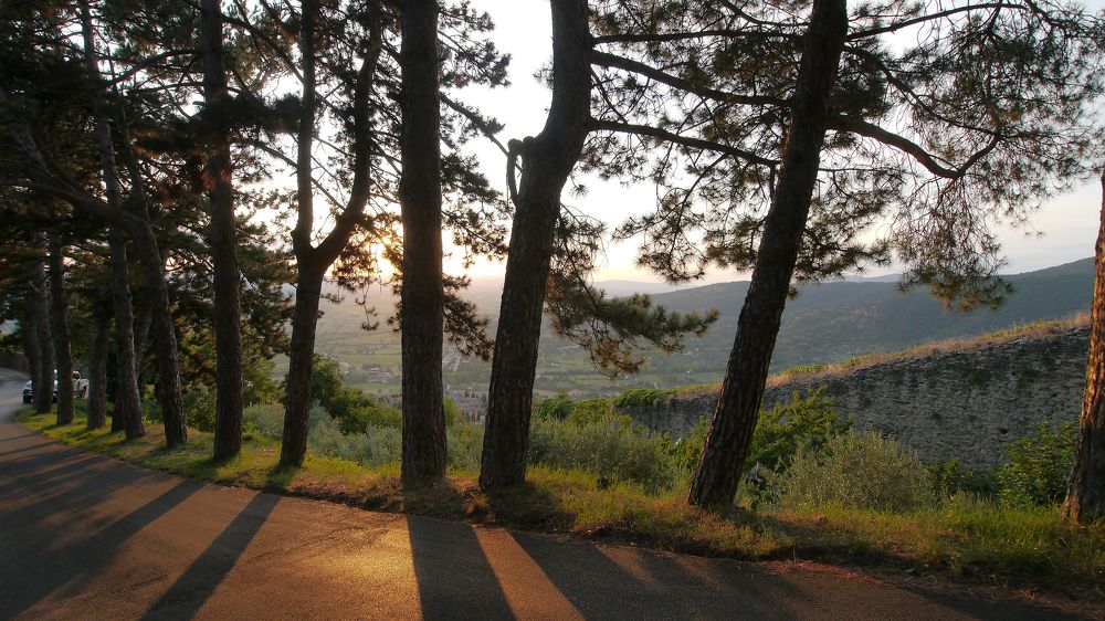 Photo #5801936