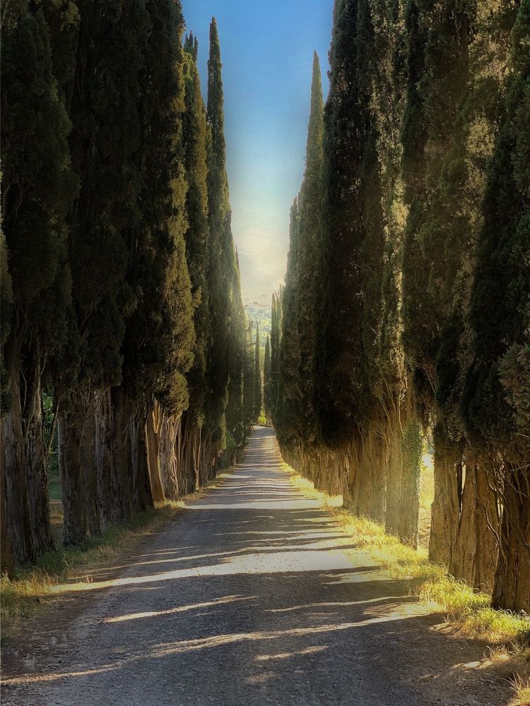 Photograph by Shapelined