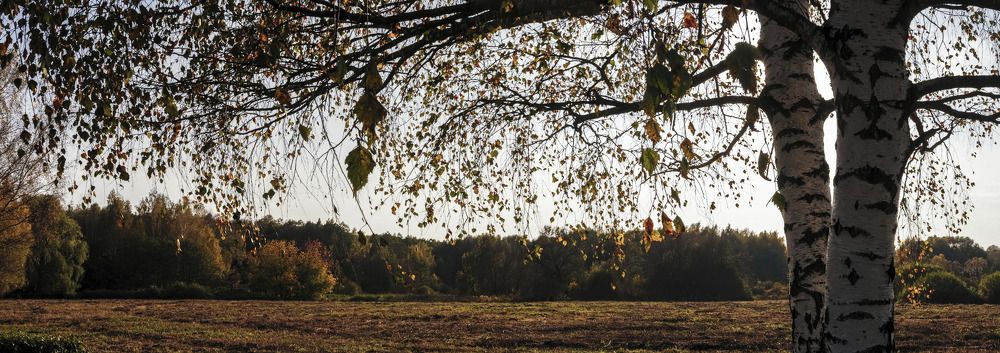 Фотография автора Александр Стоялов