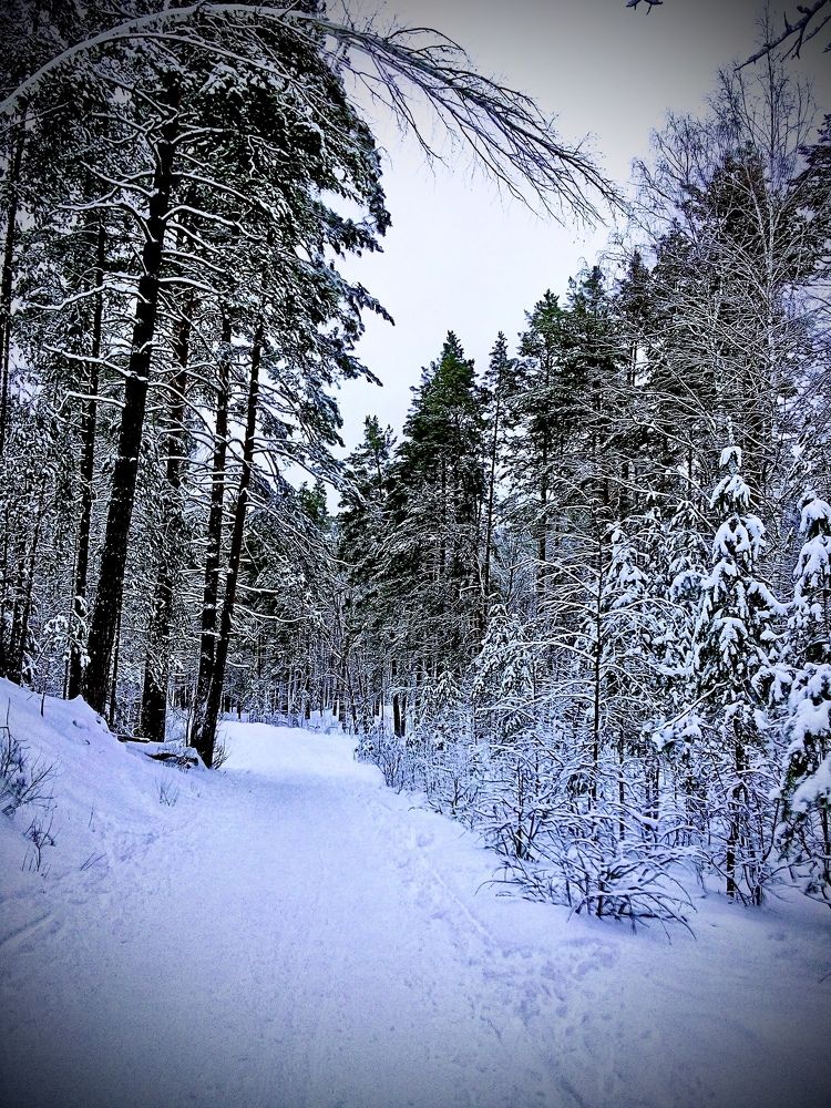 Photograph by Андрей Иванов
