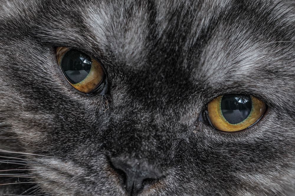 Photograph by Дмитрий Самборский