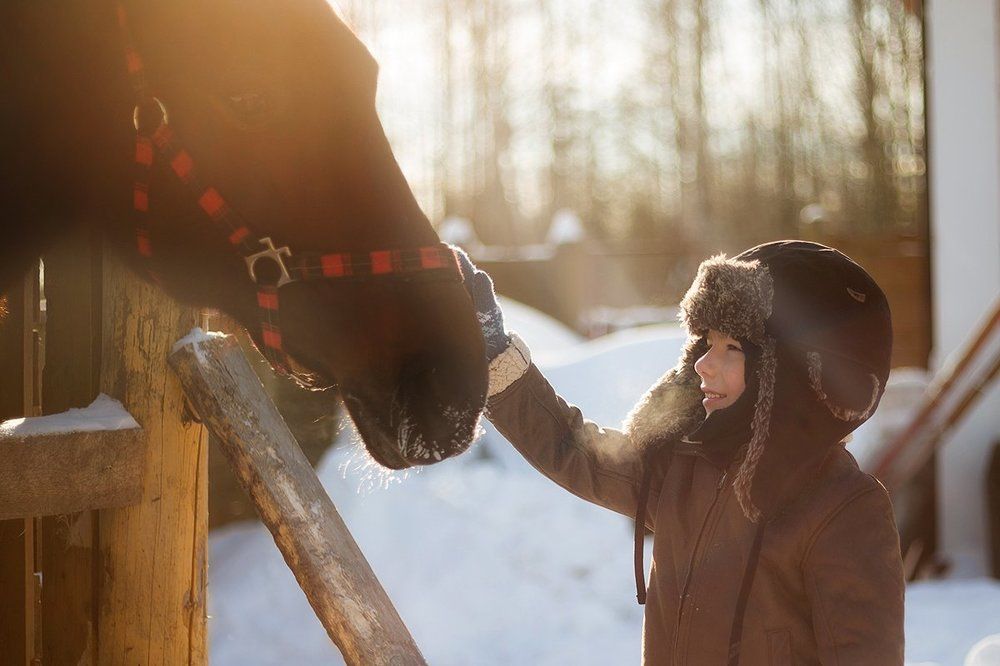 Photograph by Мария Апреликова