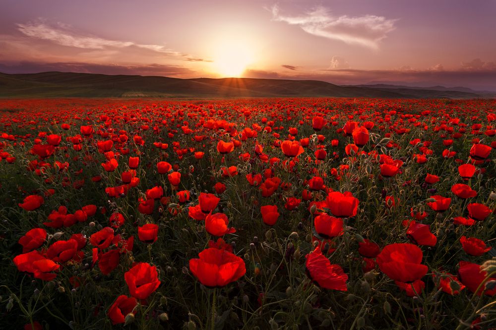 Photograph by Антон Садомов