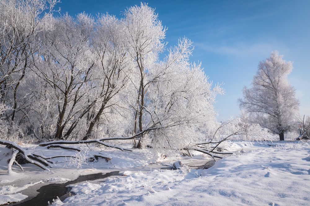 Морозное утро