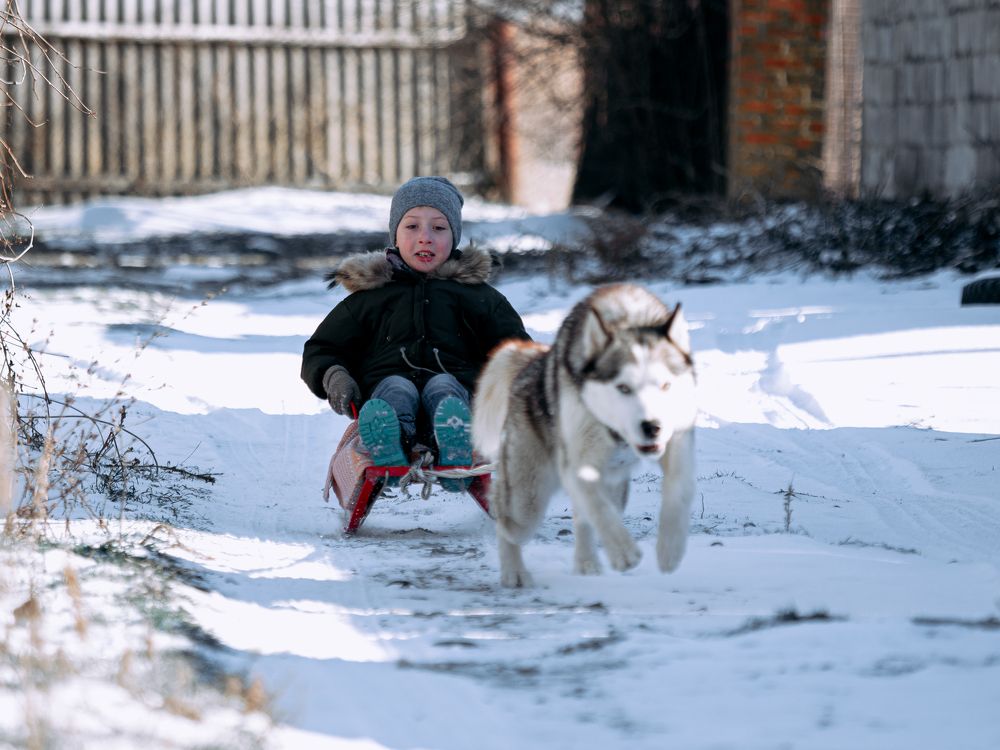 Photograph by Сергей Кадыров