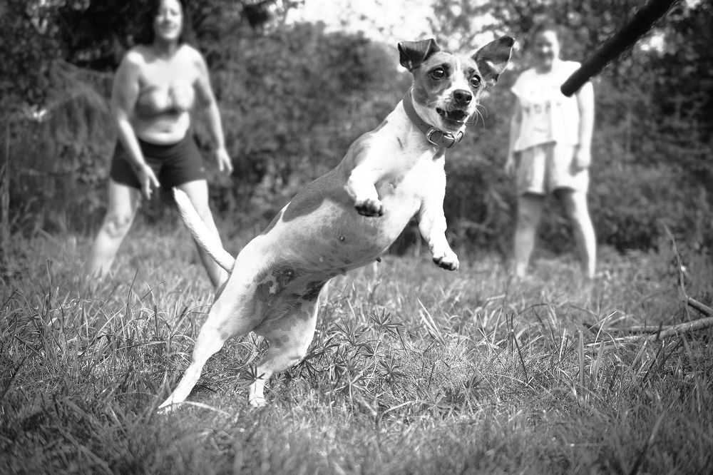 Photograph by Константин Юрченко