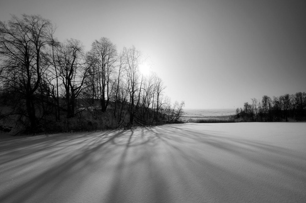 Photograph by Алексей Головнёв