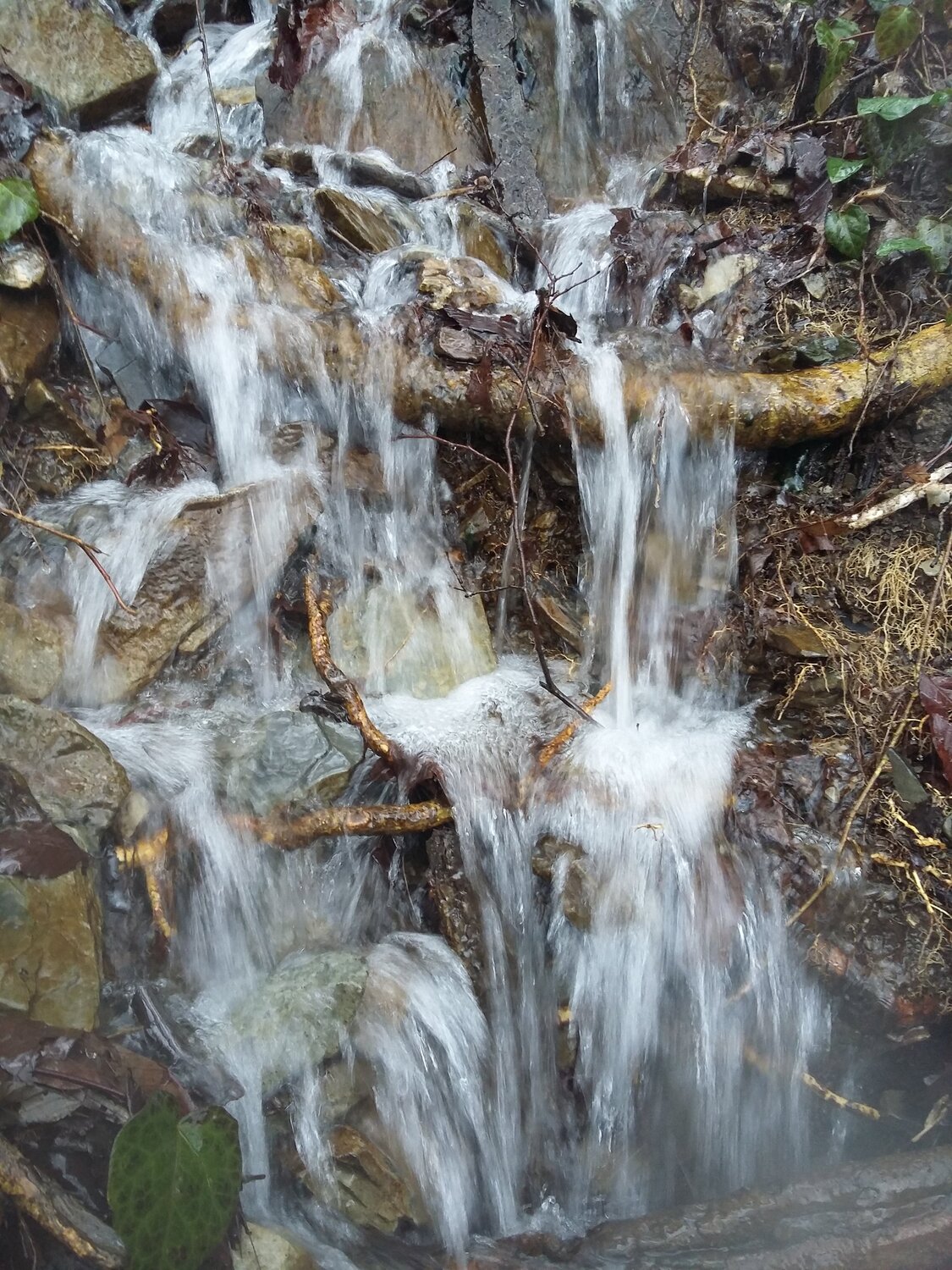 Photo #5802309