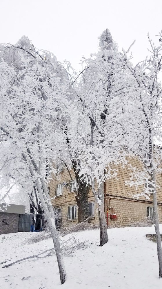 Photograph by Lucia Taut