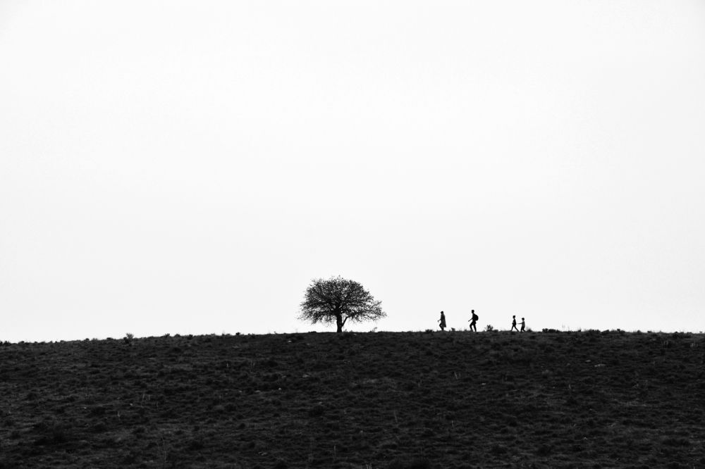 Photograph by Narges Soltanzadeh