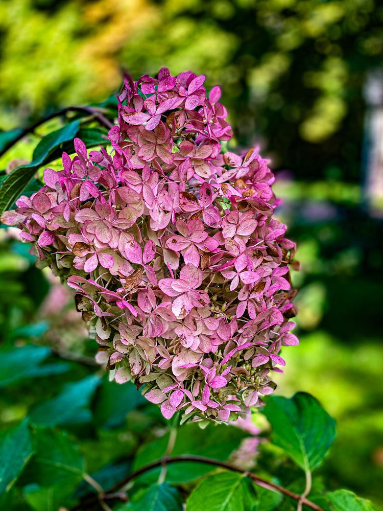 Photograph by Ярослав Титарчук