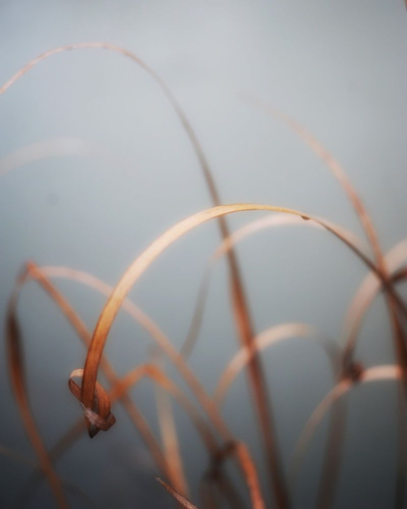 Photograph by Francesca Fiorenzoni