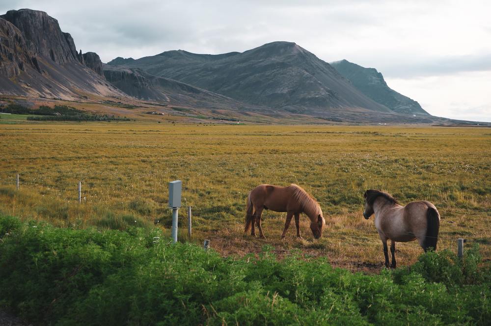 Photograph by Maryann Kariuki