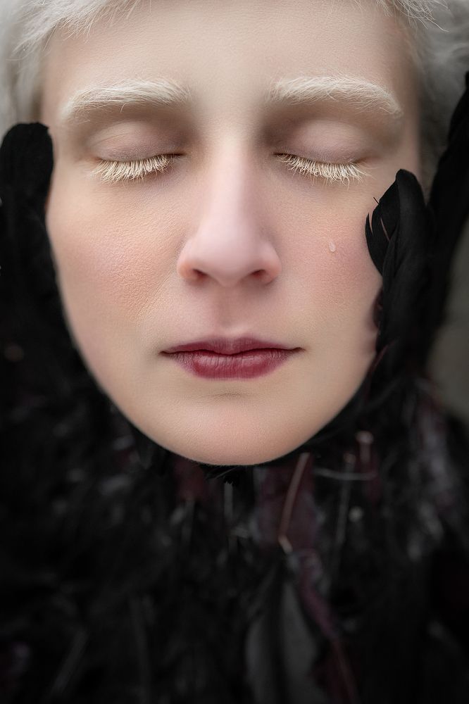 Photograph by Ostojic Marko