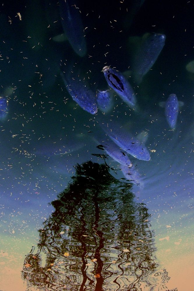 Знак зодиака "Рыбы"