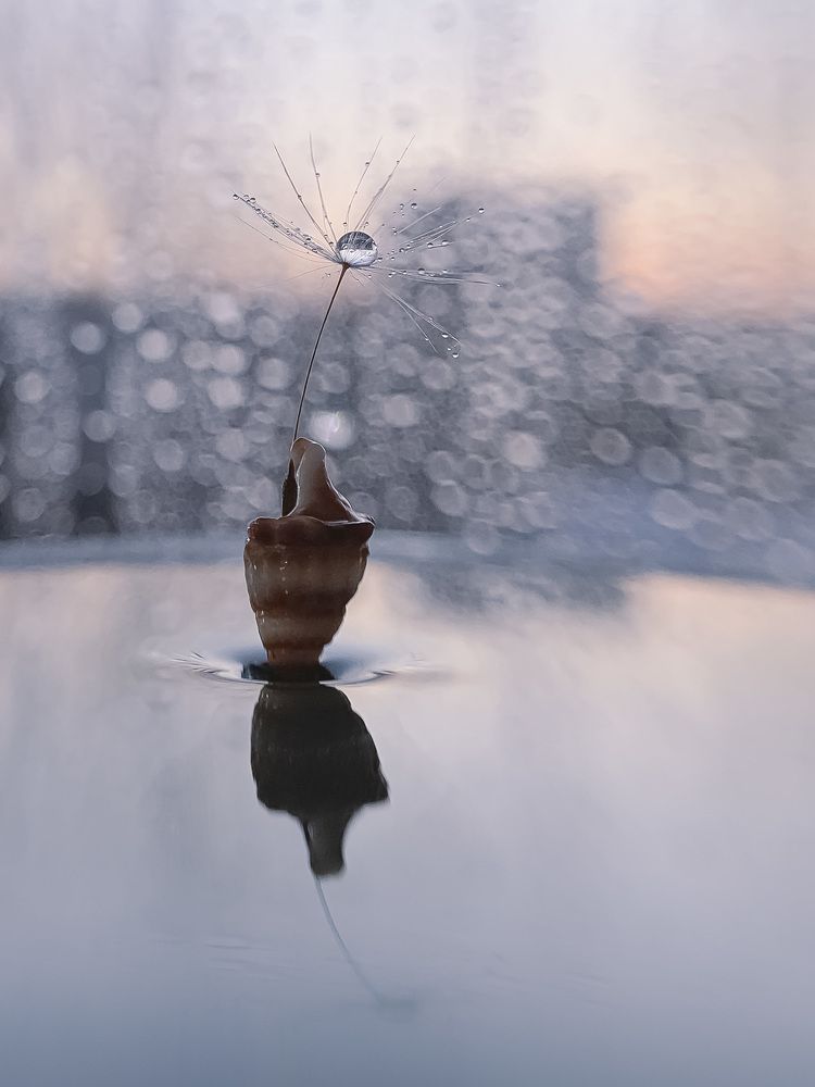 Photograph by Tatyana Belova