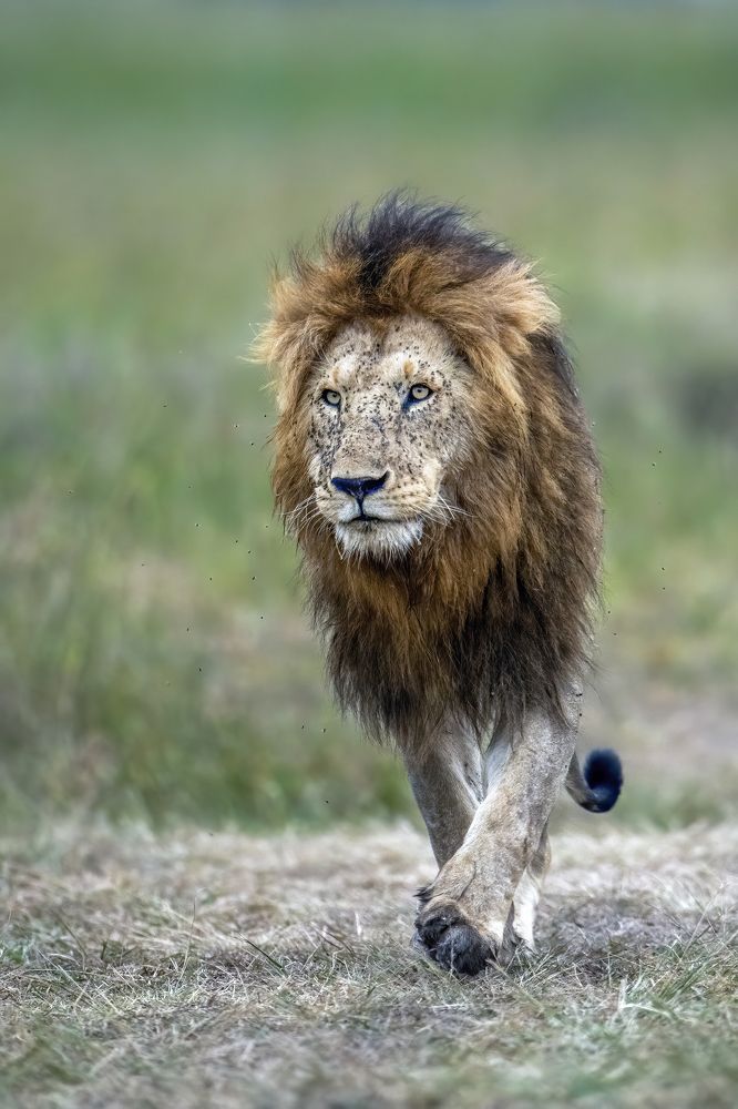 Photograph by Dilip Shah