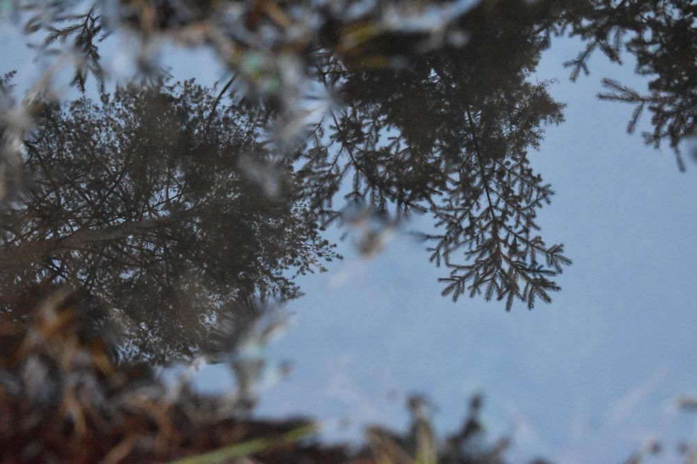 Photograph by Сергей Головин