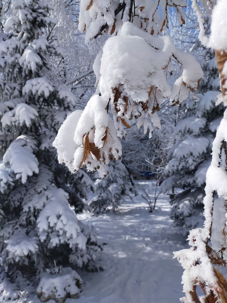 Photograph by Николай Строгов