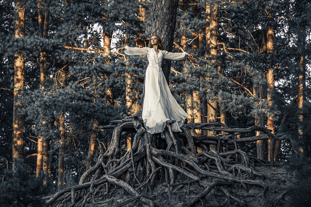 Фотография автора Юрий Солотин