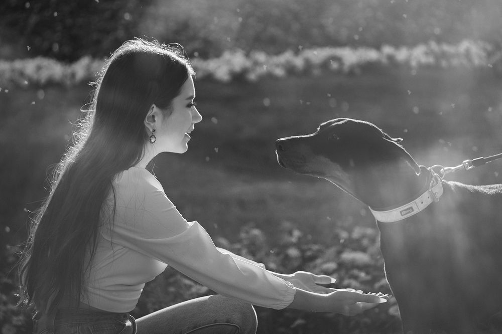 Фотография автора Юрий Солотин