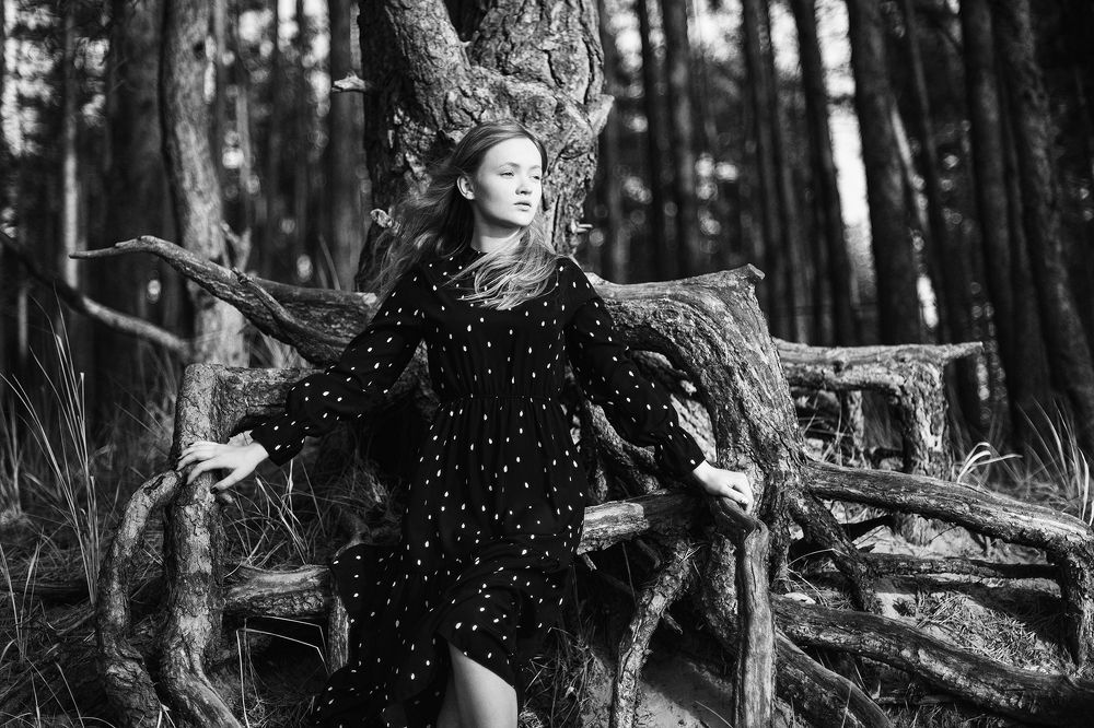 Фотография автора Юрий Солотин