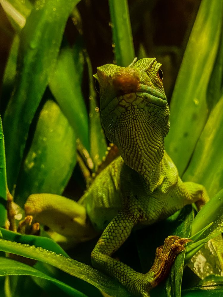 Photograph by Сергей Марченков