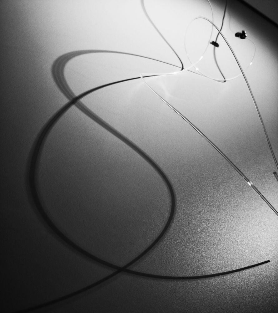 Photograph by Алексей