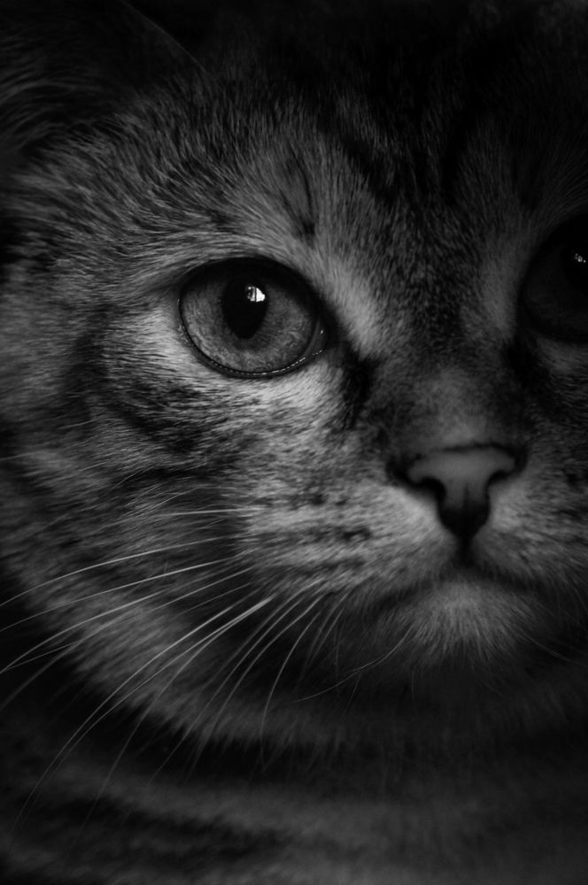 Photograph by Сандра Скоголь