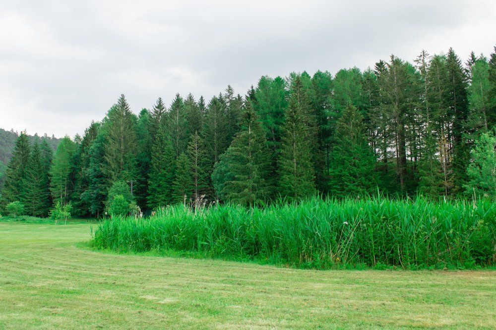 Photograph by Ольга Мельникова