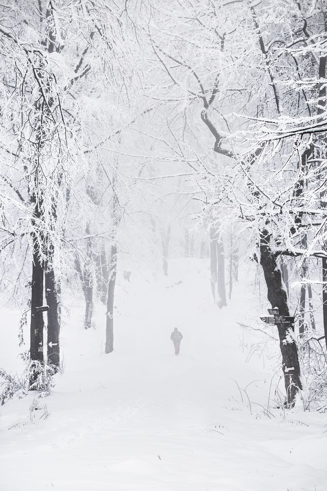 Photograph by Jelena Potrebic