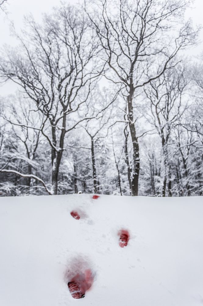 Photograph by Jelena Potrebic