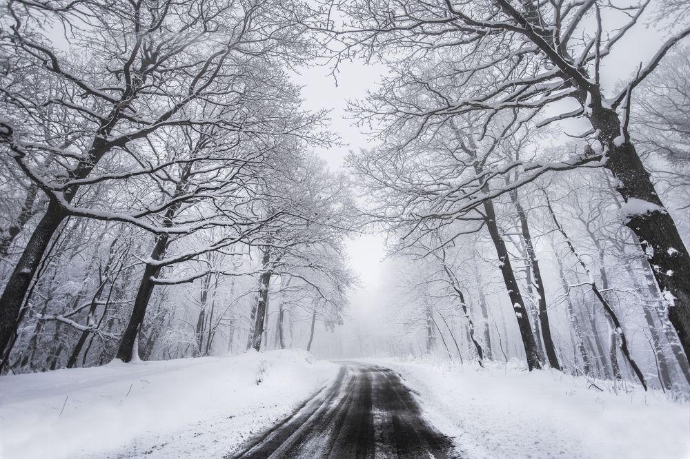 Photograph by Jelena Potrebic