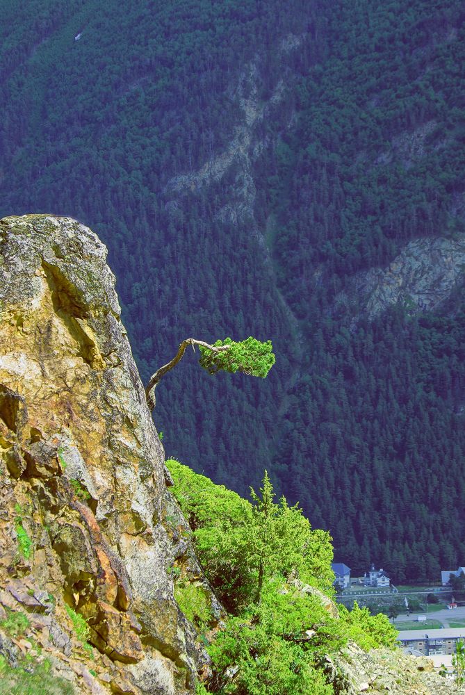 Photograph by Михаил Каштанов