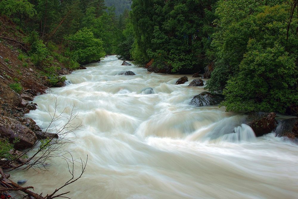 Photograph by Михаил Каштанов