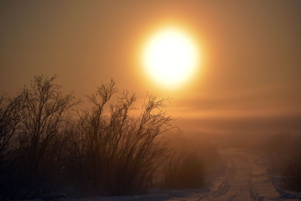 Photograph by Анна Кривицкая