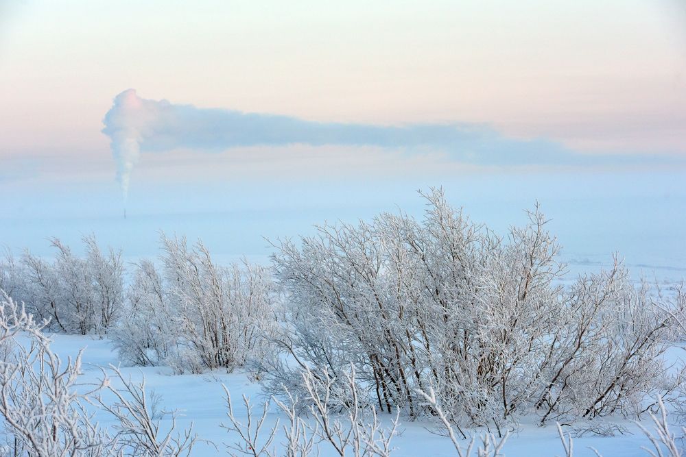 Photograph by Анна Кривицкая