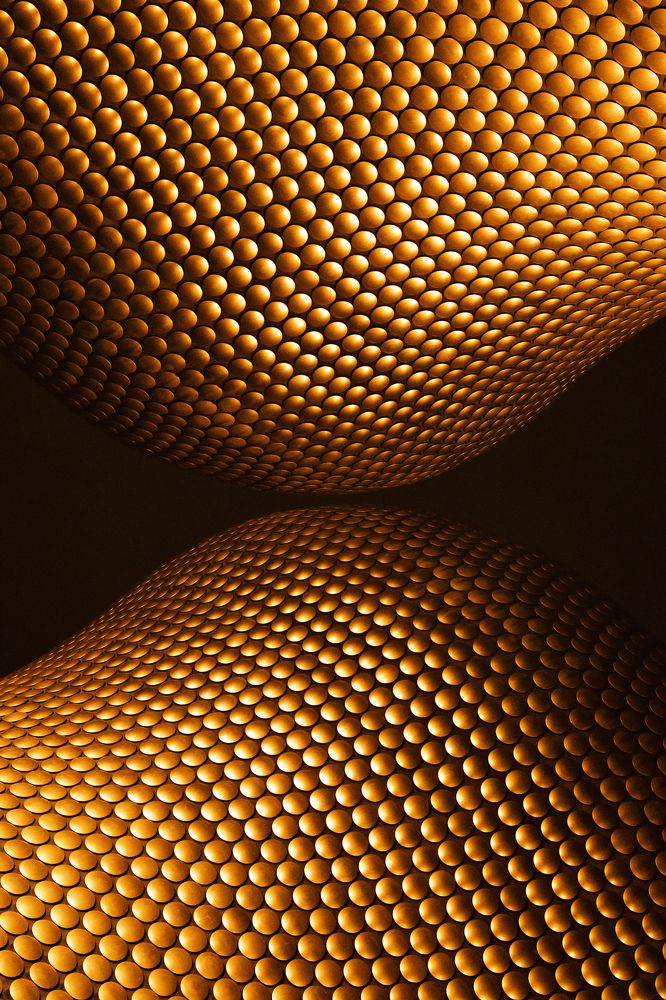 Photograph by Анастасия Газова