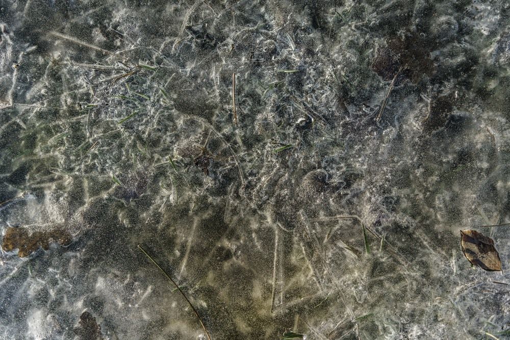 macro winter landscape