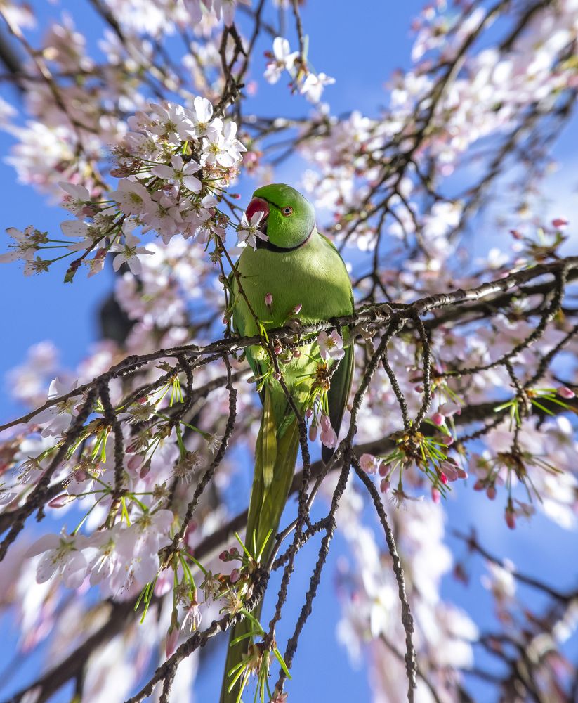Photograph by Анастасия Газова