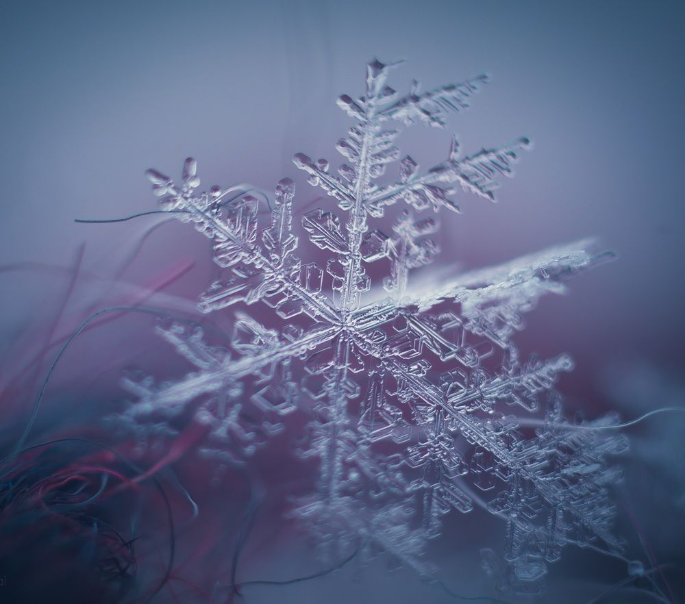 Photograph by Ольга Снаи