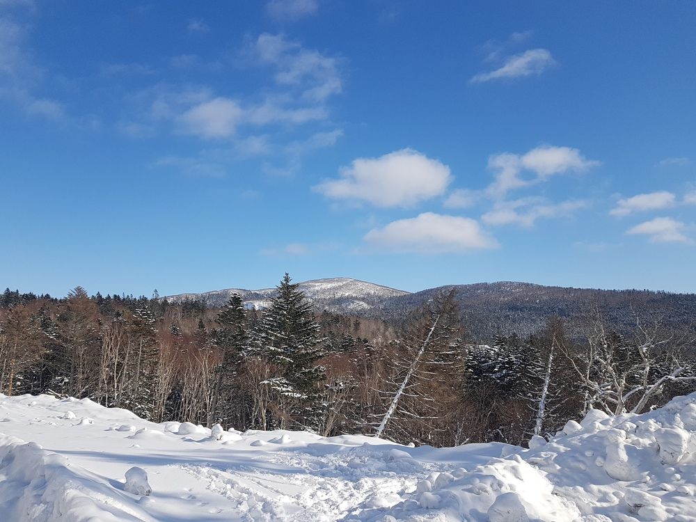 Photograph by Ксения Золотухина