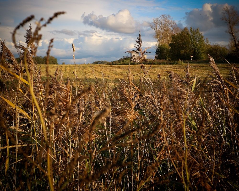 Photograph by Ольга Снаи