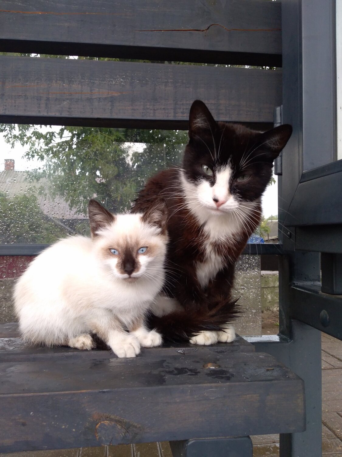 Photo #5803007