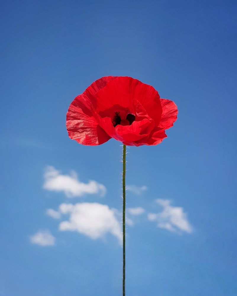 Photograph by Olga Weinberger