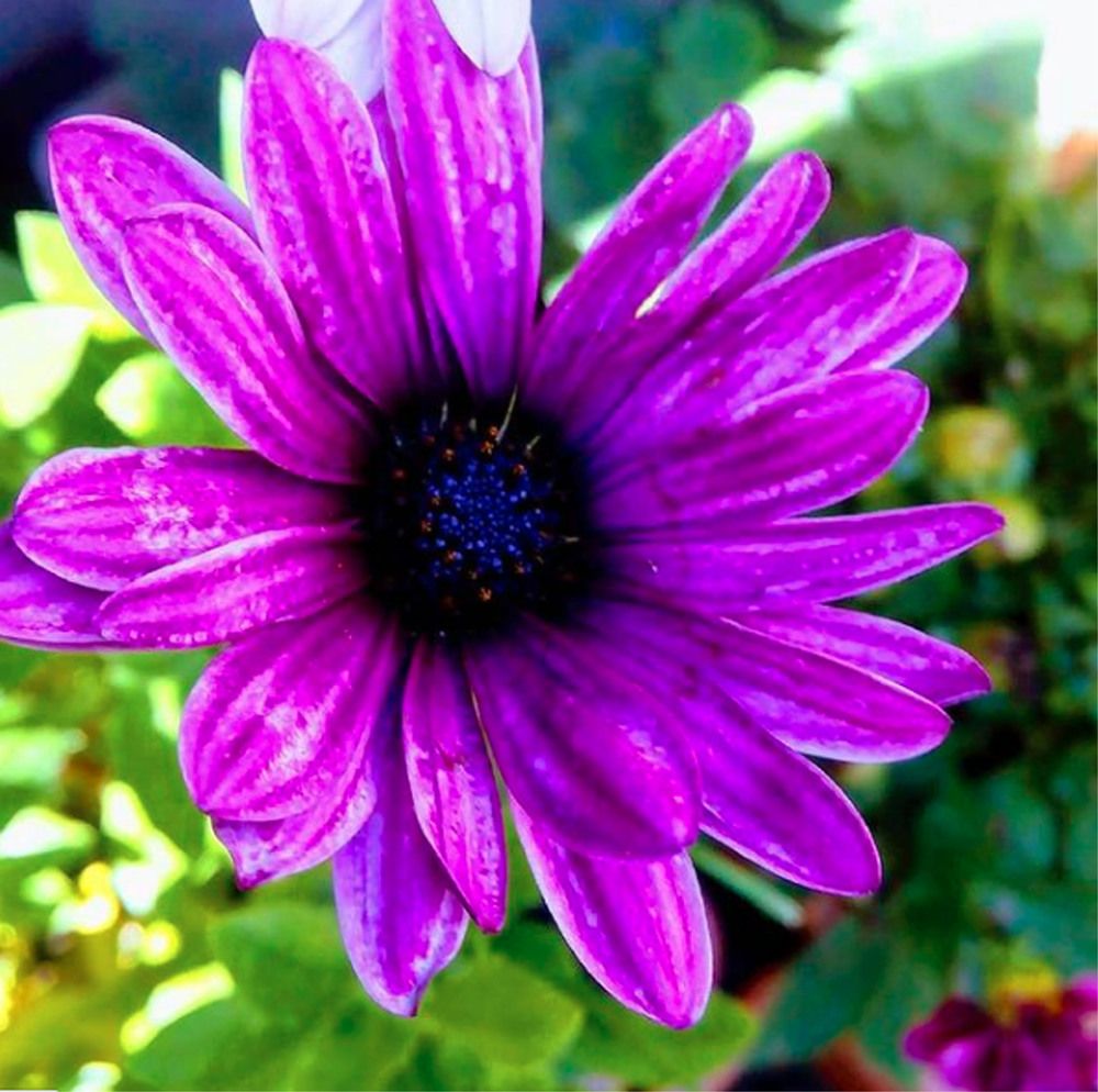 Photograph by Raileanu Armand