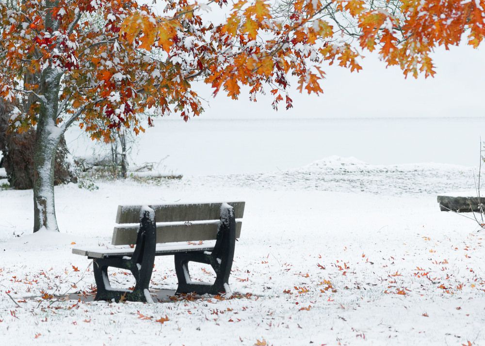 Photograph by Marina Korol